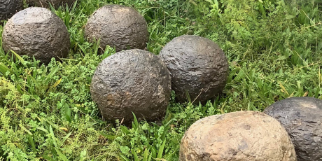 Zware oorlogsmunitie langs de Dalemsedijk gevonden